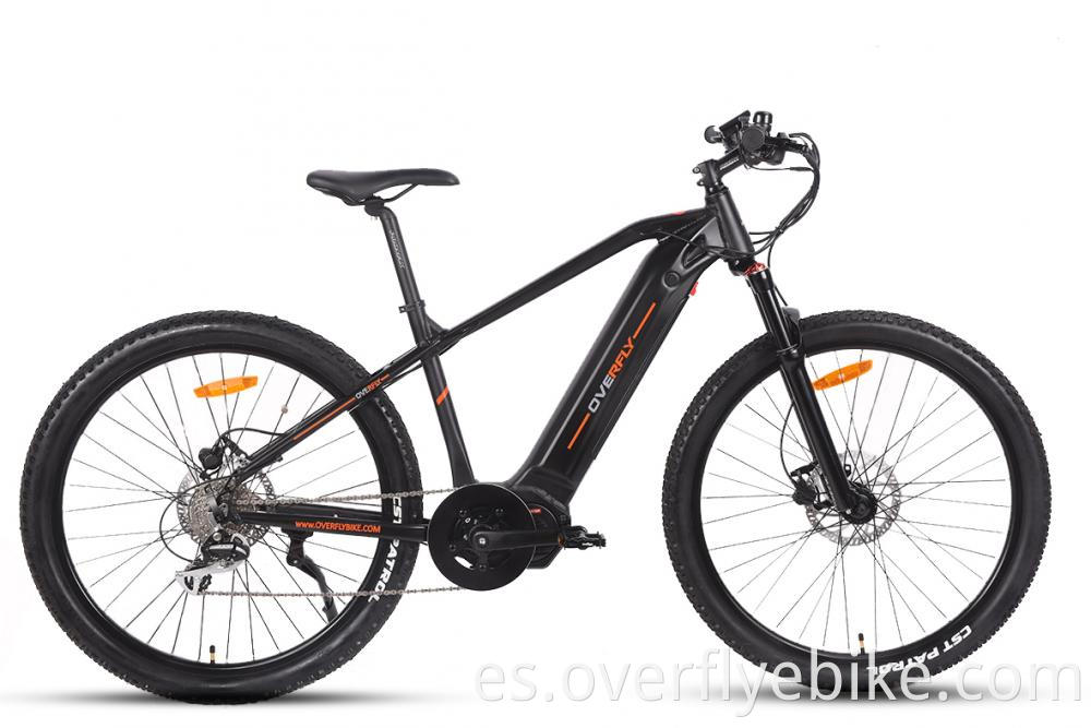 electric mountain bike